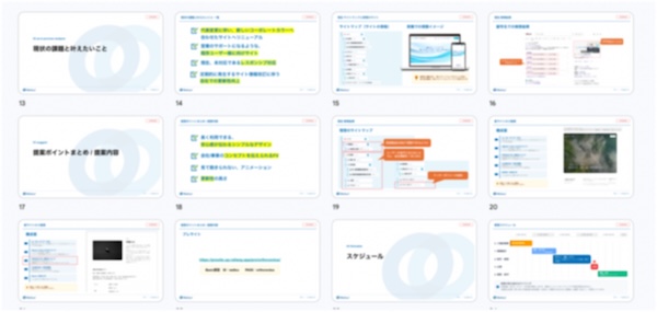 orthoventus_提案資料