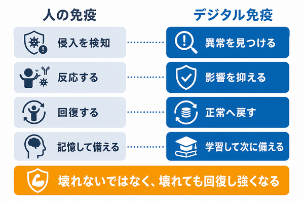 検知・防御・回復・学習という人の免疫とシステムの働きの対応図